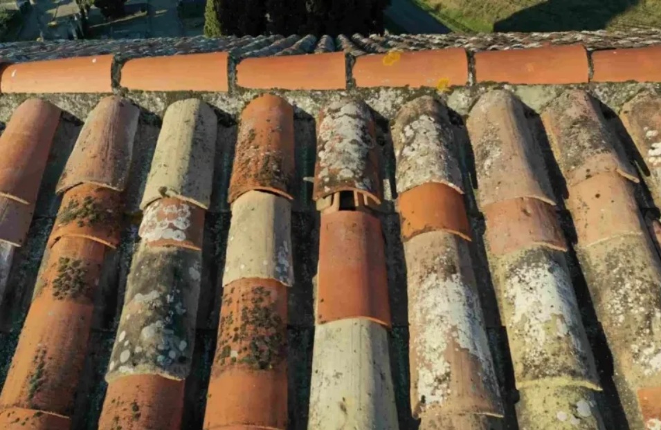 Inspection de toiture